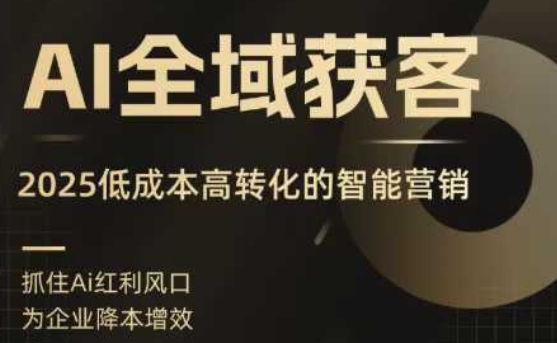 AI全域获客实训营，2025低成本高转化的智能营销，精准找客，高效营销-皮皮网创