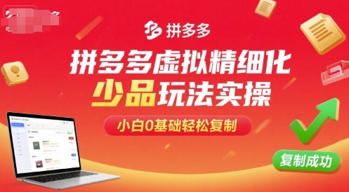 拼多多虚拟精细化少品玩法实操，小白0基础轻松复制-皮皮网创
