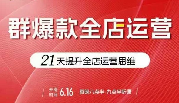 贾真电商群爆款全店运营，21天提升全店运营思维，起店、全店运营爆款不断-皮皮网创