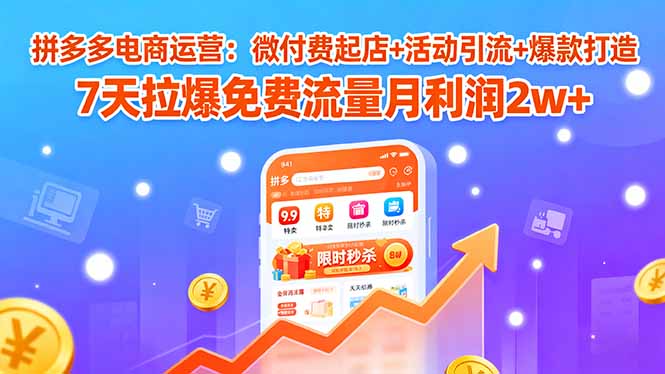 拼多多电商运营：微付费起店+活动引流+爆款打造 7天拉爆免费流量月利润2w+-皮皮网创