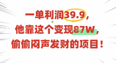一单利润39.9，有人靠这个变现几十个，偷偷闷声发财的项目-皮皮网创