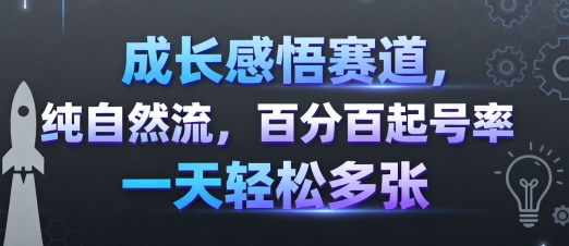 成长感悟赛道，纯自然流，百分百起号率 一天轻松多张-皮皮网创