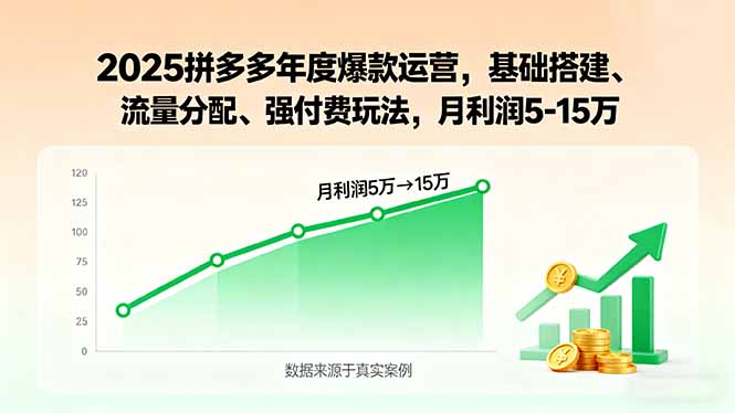 2025拼多多年度爆款运营，基础搭建、流量分配、强付费玩法，月利润5-15万-皮皮网创