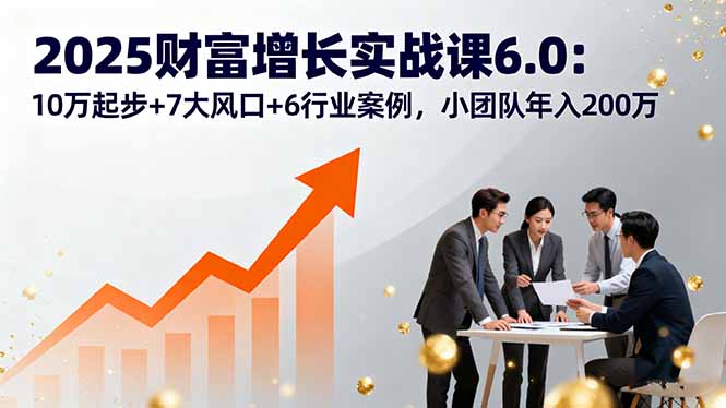 2025财富增长实战课6.0：10万起步+7大风口+6行业案例，小团队年入200万-皮皮网创