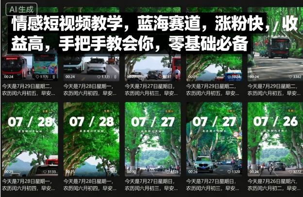 情感短视频教学，蓝海赛道，涨粉快，收益高，手把手教会你，零基础必备-皮皮网创