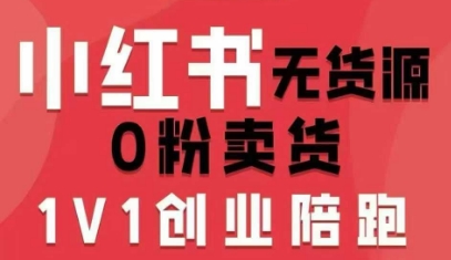 小红书无货源0粉电商课，开店准备、选品策略、笔记撰写、视频剪辑、数据分析、账号打造、资料文档-皮皮网创