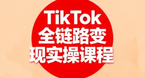 小杨老师·TikTok全链路变现实操课程-皮皮网创