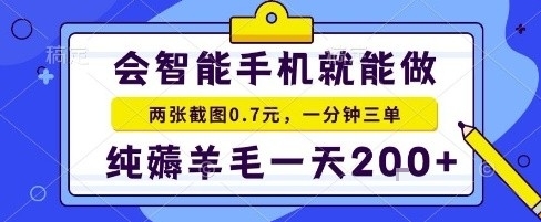 手机项目，二十秒一单，纯薅羊毛一天2张+做就有【揭秘】-皮皮网创