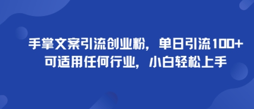 手掌文案引流创业粉，单日引流100+，可适用任何行业，小白轻松上手-皮皮网创