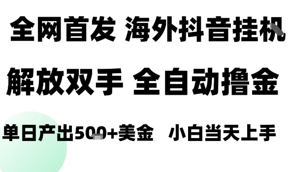 海外抖音无人直播，单日产出1.5k+，长期稳定，新手可玩，无脑操作【揭秘】-皮皮网创