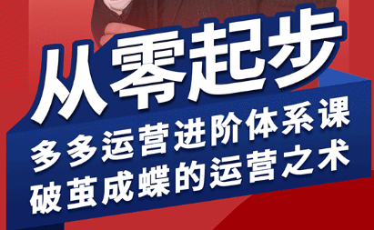 海神·拼多多运营进阶系统课(更新9月)-皮皮网创