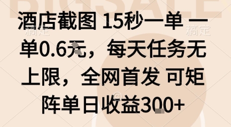 酒店截图15秒一单，一单0.6米，每天任务无上限，全网首发可矩阵单日收益3张【揭秘】-皮皮网创