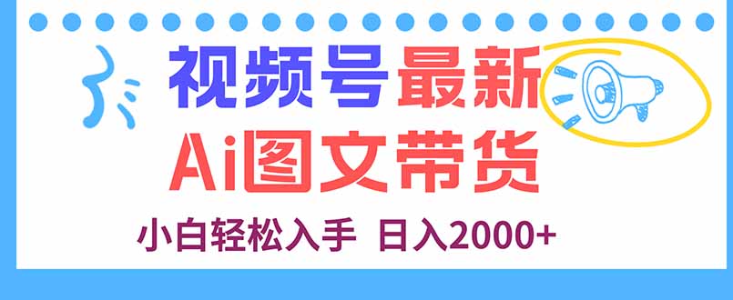 视频号最新AI图文带货，每天几分钟，小白轻松入手，日入2000+-皮皮网创
