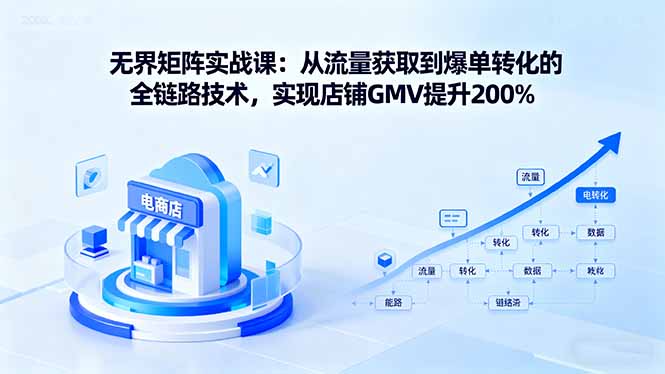 无界矩阵实战课：从流量获取到爆单转化的全链路技术，实现店铺GMV提升200%-皮皮网创
