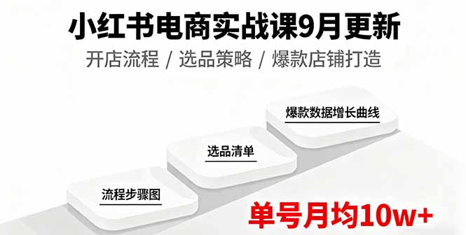 小红书电商实战课9月更新，开店流程/选品策略/爆款店铺打造，单号月均10w+-皮皮网创