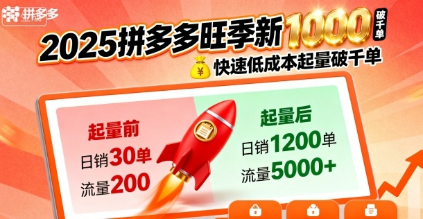 2025拼多多旺季新老店铺——快速低成本起量破千单-皮皮网创