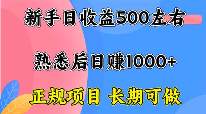新手日收益500+ 正规项目 长期可做-皮皮网创