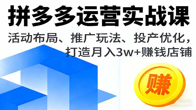 拼多多运营实战课，活动布局、推广玩法、投产优化，打造月入3w+赚钱店铺-皮皮网创
