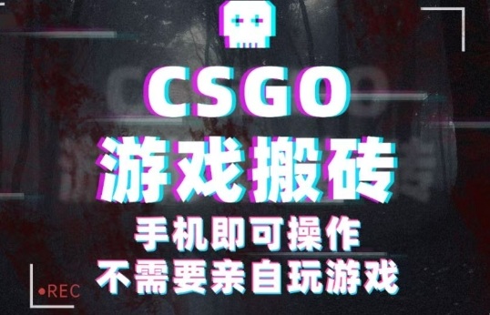 CSGO游戏挂G捡漏，单日扫货5张+，年底小高峰上车可吃肉，手机即可操作，兼职副业创业网创【揭秘】-皮皮网创