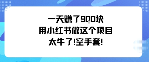 一天挣了9张用小红书做这个项目太牛了，空手套-皮皮网创