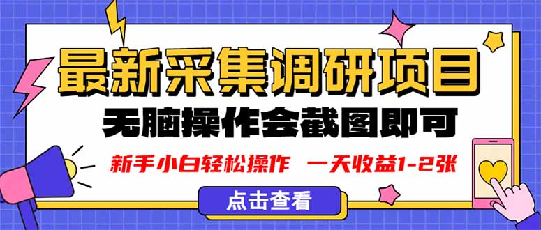 新版采集调研项目，截图上传即可，无脑操作，日收益1-2张-皮皮网创