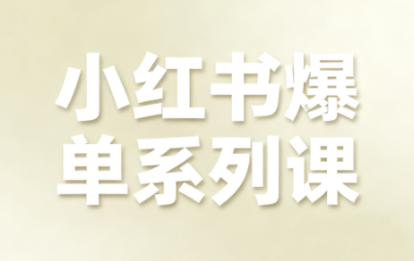 尼采老师·小红书爆单系列课-皮皮网创