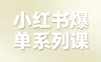 小红书爆单系列课，聚焦小红书电商全链路增长-皮皮网创