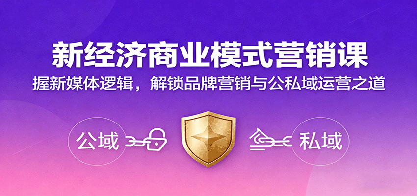 新经济商业模式营销课，握新媒体逻辑，解锁品牌营销与公私域运营之道-皮皮网创
