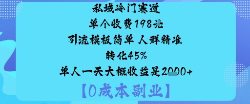 私域冷门赛道:单个收费198米引流模板简单人群精准转化45%单人一天大概收益是1k+-皮皮网创