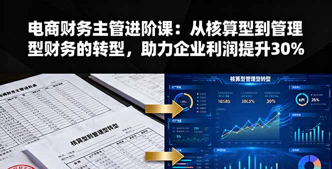 电商财务主管进阶课：从核算型到管理型财务的转型，助力企业利润提升30%-皮皮网创
