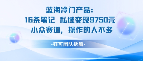 蓝海项目：16条笔记私域变现9750米小众赛道操作的人不多-皮皮网创