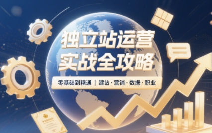 2025独立站运营实战全攻略-皮皮网创