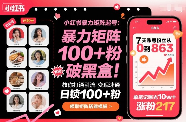 小红书暴力矩阵起号,教你打通引流-变现速通,日锁100+粉,破流量黑盒-皮皮网创
