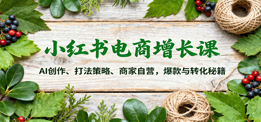 小红书电商增长课:AI创作、打法策略、商家自营,爆款与转化秘籍-皮皮网创