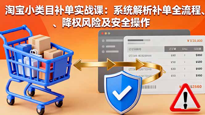 淘宝小类目补单实战课:系统解析补单全流程、降权风险及安全操作-皮皮网创