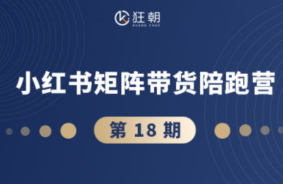 盗坤·抖音小红书视频号短视频带货与直播变现(11-18期)-皮皮网创