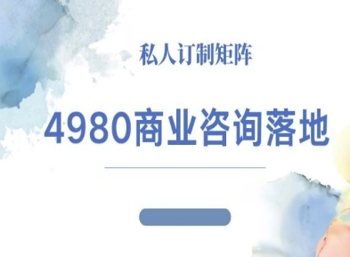4980商业咨询师落地课程-ip运营高客单教程-皮皮网创