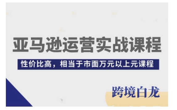 亚马逊运营实战课程，亚马逊从入门到精通，性价比高，相当于市面万元以上元课程-皮皮网创