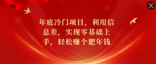 年底冷门项目，利用信息差，实现零基础上手，轻松赚个肥年钱【揭秘】-皮皮网创