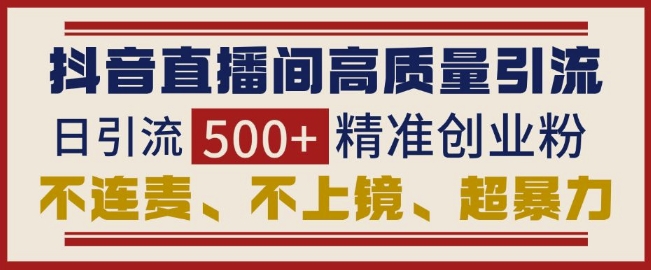 抖音直播间引流创业粉，无需连麦、不用上镜、超暴力，日引流500+高质量精准创业粉-皮皮网创