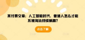 某付费文章:人工智能时代,普通人怎么才能不被淘汰持续躺赢?-皮皮网创