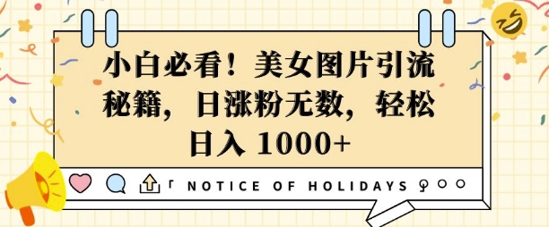 小白必看，美女图片引流秘籍，日涨粉无数，轻松日入几张【揭秘】-皮皮网创