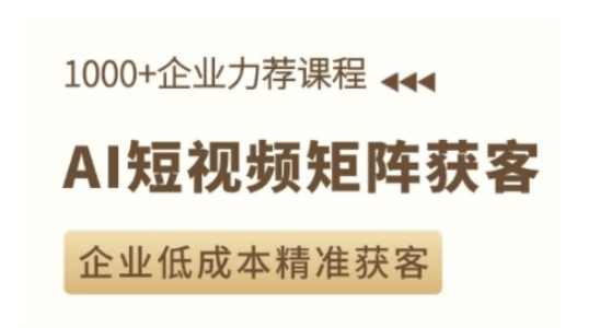 AI短视频矩阵获客实操课，企业低成本精准获客-皮皮网创