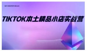 TikTok本土精品小店出海实战营，从入门到高阶，不止0-1!-皮皮网创