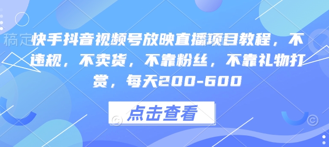 快手抖音视频号放映直播项目教程，不违规，不卖货，不靠粉丝，不靠礼物打赏，每天200-600-皮皮网创