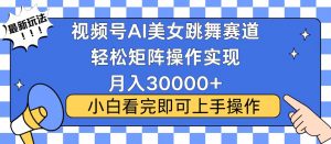 视频号蓝海赛道玩法，当天起号，拉爆流量收益，小白也能轻松月入30000+-皮皮网创