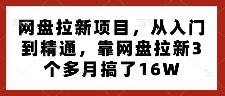 网盘拉新项目，从入门到精通，靠网盘拉新3个多月搞了16W-皮皮网创