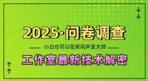 2025问卷调查最新工作室技术解密：一个人在家也可以闷声发大财，小白一天2张，可矩阵放大【揭秘】-皮皮网创