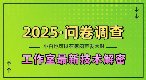 2025问卷调查最新工作室技术解密:一个人在家也可以闷声发大财,小白一天2张,可矩阵放大【揭秘】-皮皮网创