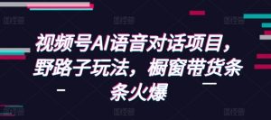 视频号AI语音对话项目，野路子玩法，橱窗带货条条火爆-皮皮网创